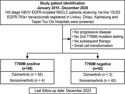 Sequential treatment in advanced epidermal growth factor receptor-mutated lung adenocarcinoma patients receiving first-line bevacizumab combined with 1st/2nd-generation EGFR-tyrosine kinase inhibitors